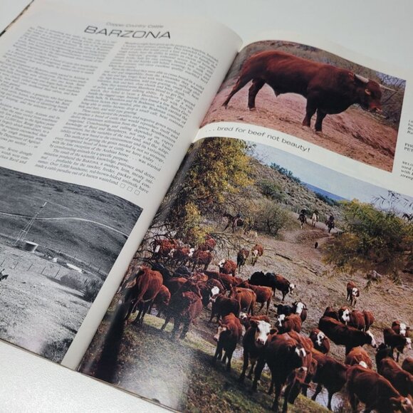 Arizona Highways October 1975 Kachina Doll Copper Industry Vintage Art Barzona - Picture 11 of 12